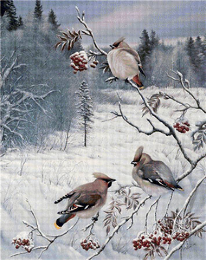 птички на рябине - природа, лес, зима - предпросмотр