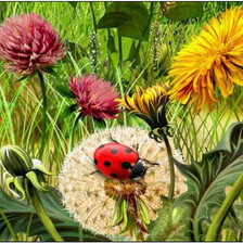 Схема вышивки «лето»