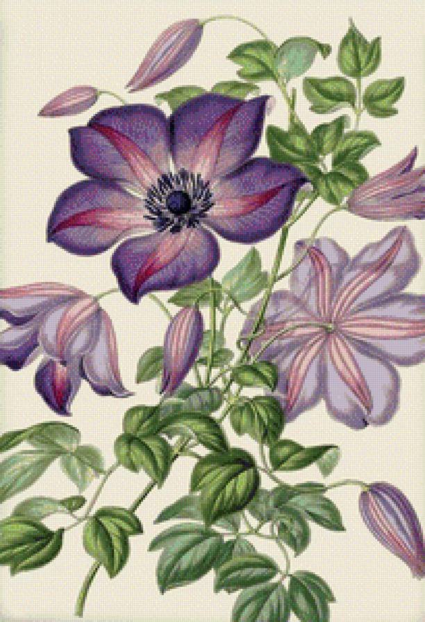 цветы - предпросмотр