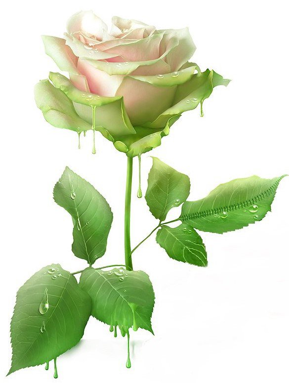 №1236232 - оригинал