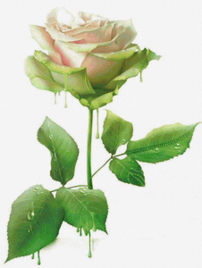 №1236232 - предпросмотр