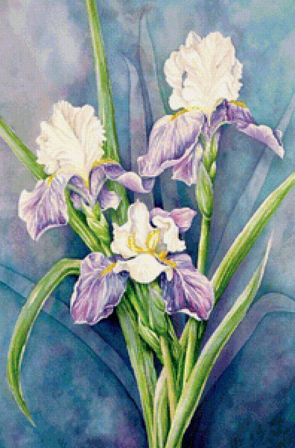 №1236259 - предпросмотр