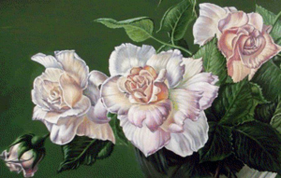 №1236436 - предпросмотр