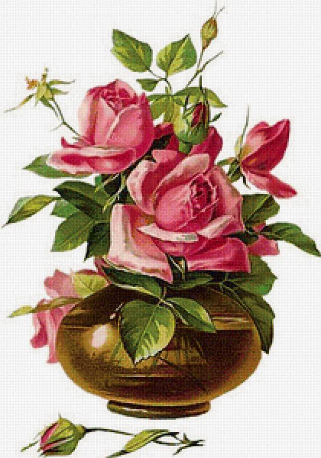 розы - цветы, натюрморт, розы - предпросмотр