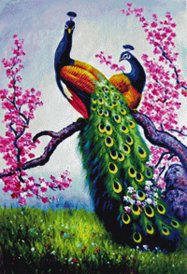 Павлины - предпросмотр