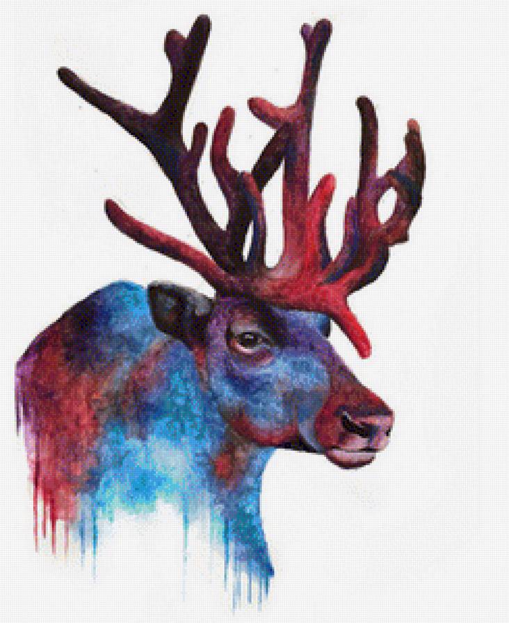 renifer - renifer - предпросмотр