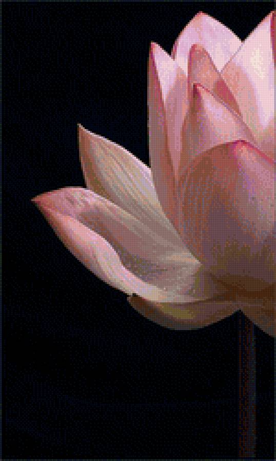 ЛОТОС2 - предпросмотр