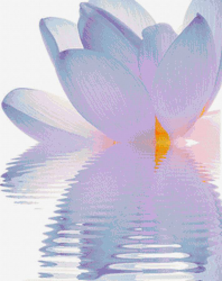 ФИОЛЕТОВЫЙ ЛОТОС - предпросмотр