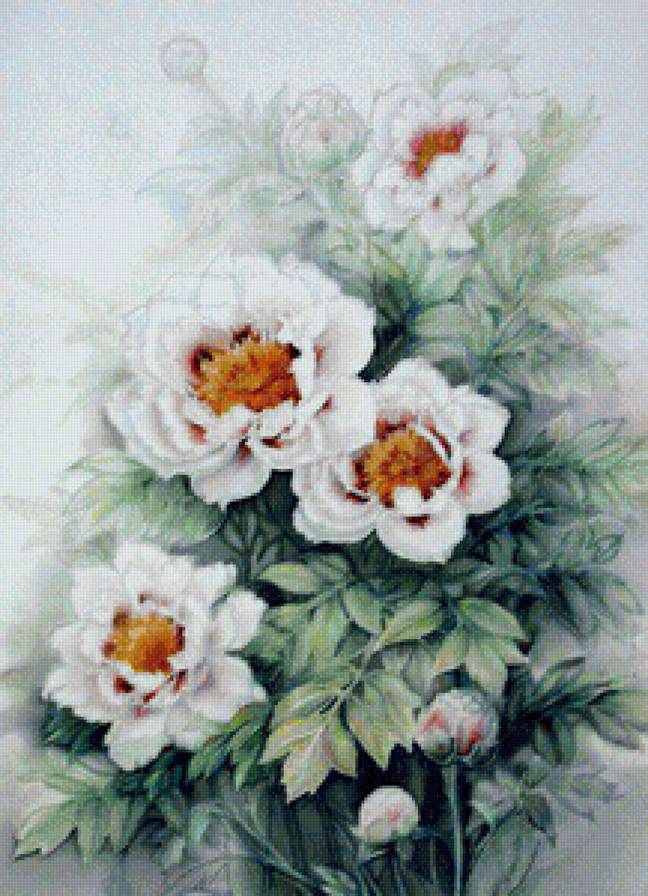 №1237375 - предпросмотр