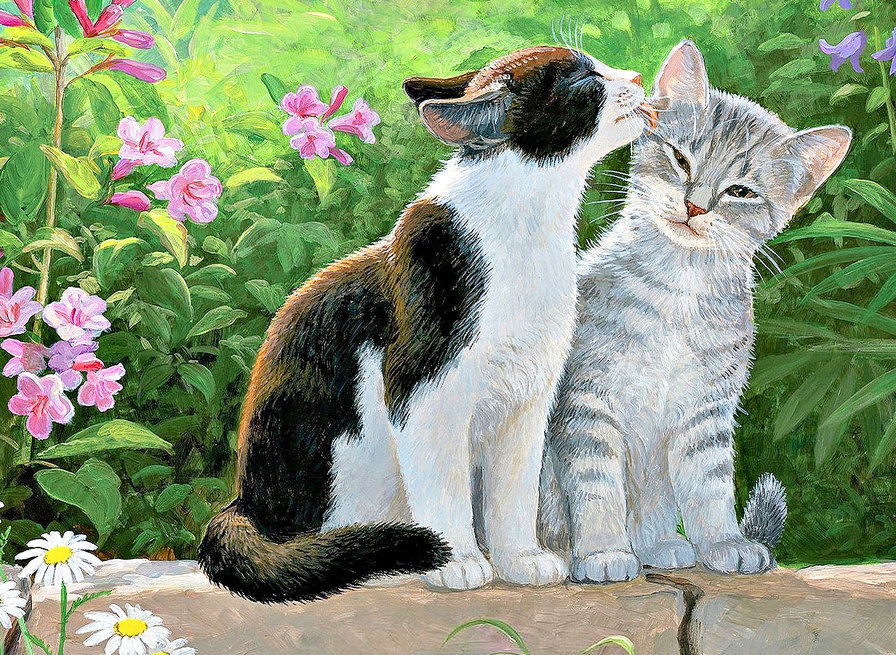 котики - кот - оригинал