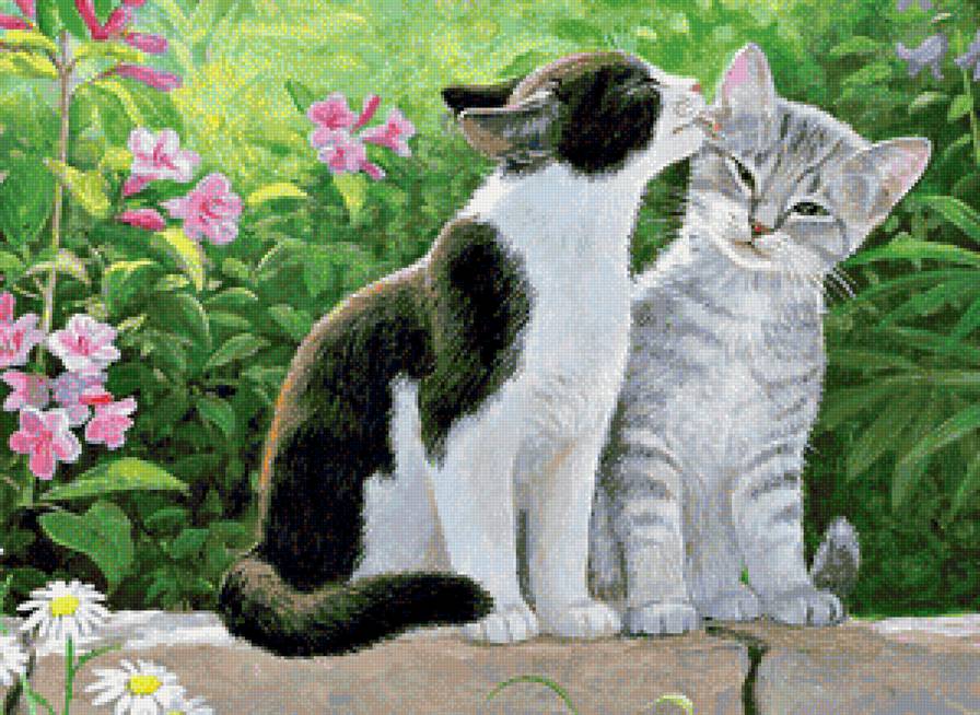 котики - кот - предпросмотр