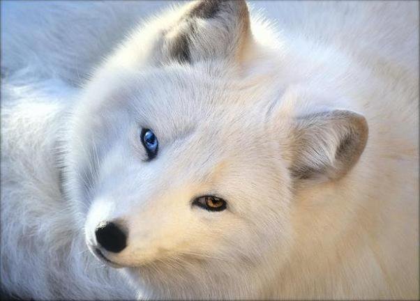 0005 - оригинал