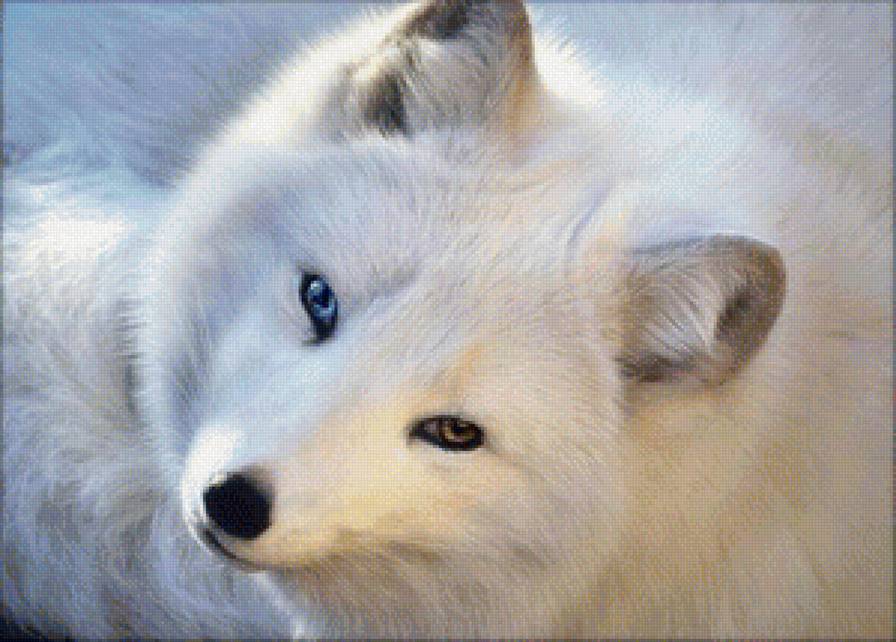 0005 - предпросмотр