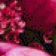 Предпросмотр схемы вышивки «rozowe kwiaty» (№1237889)
