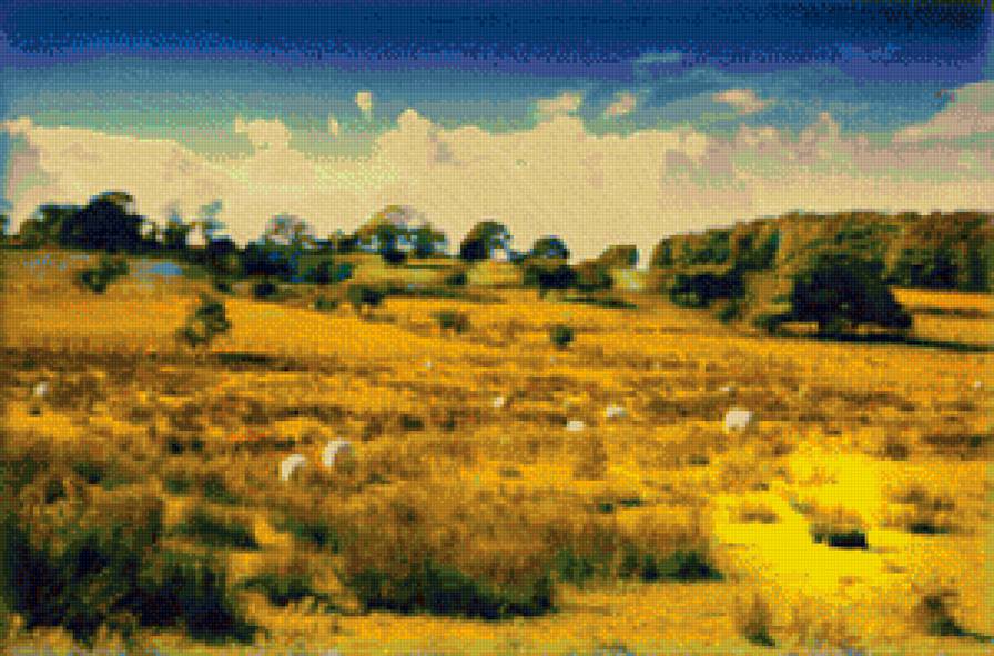 Степь - степь, природа - предпросмотр