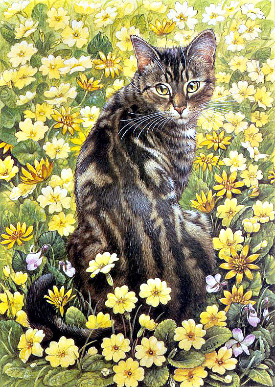 котик - кот.цветы - оригинал