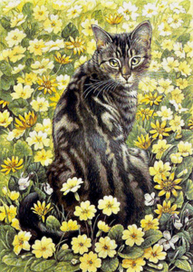котик - кот.цветы - предпросмотр