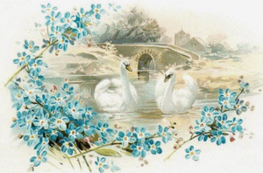 Лебеди - лебеди, озеро, цветы - предпросмотр