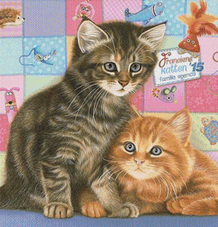 котята - предпросмотр