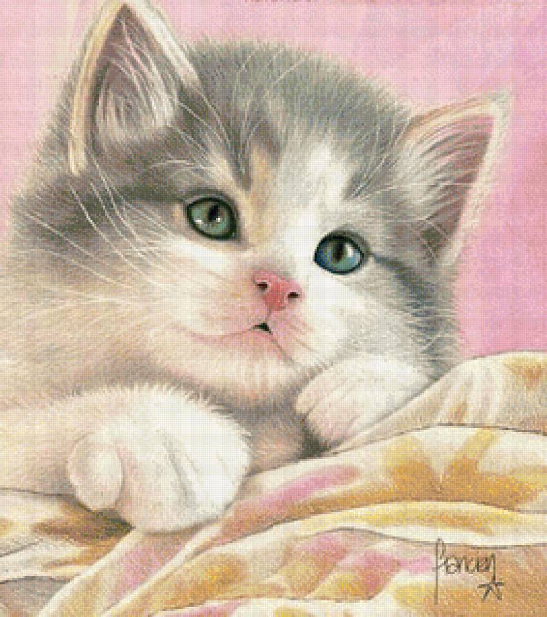 котенок - предпросмотр