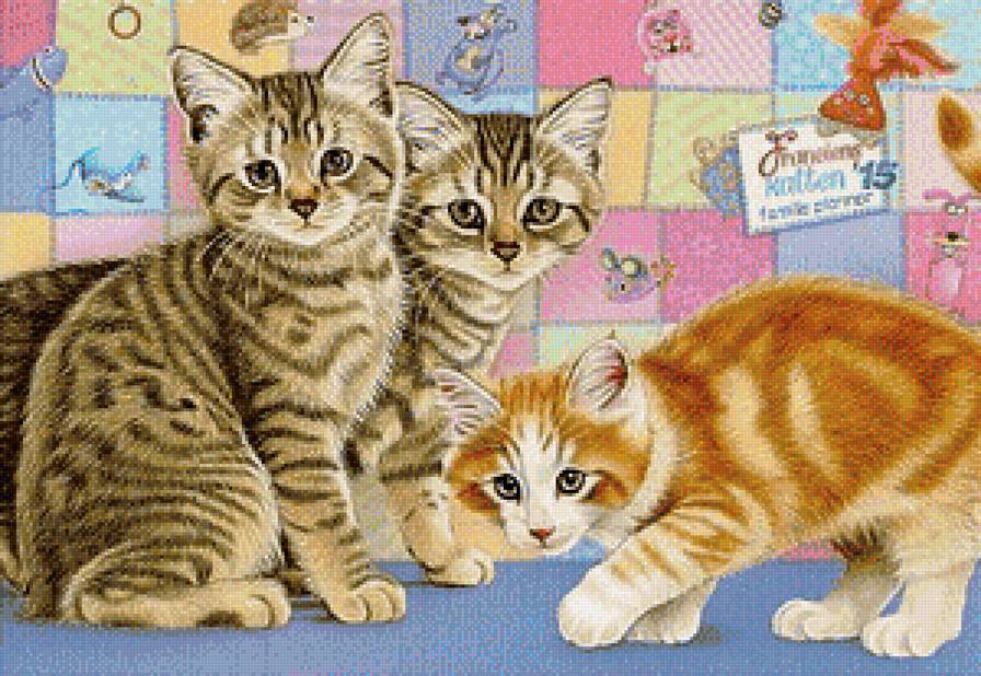 котята - предпросмотр