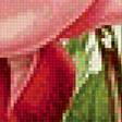 Предпросмотр схемы вышивки «роза» (№1238951)