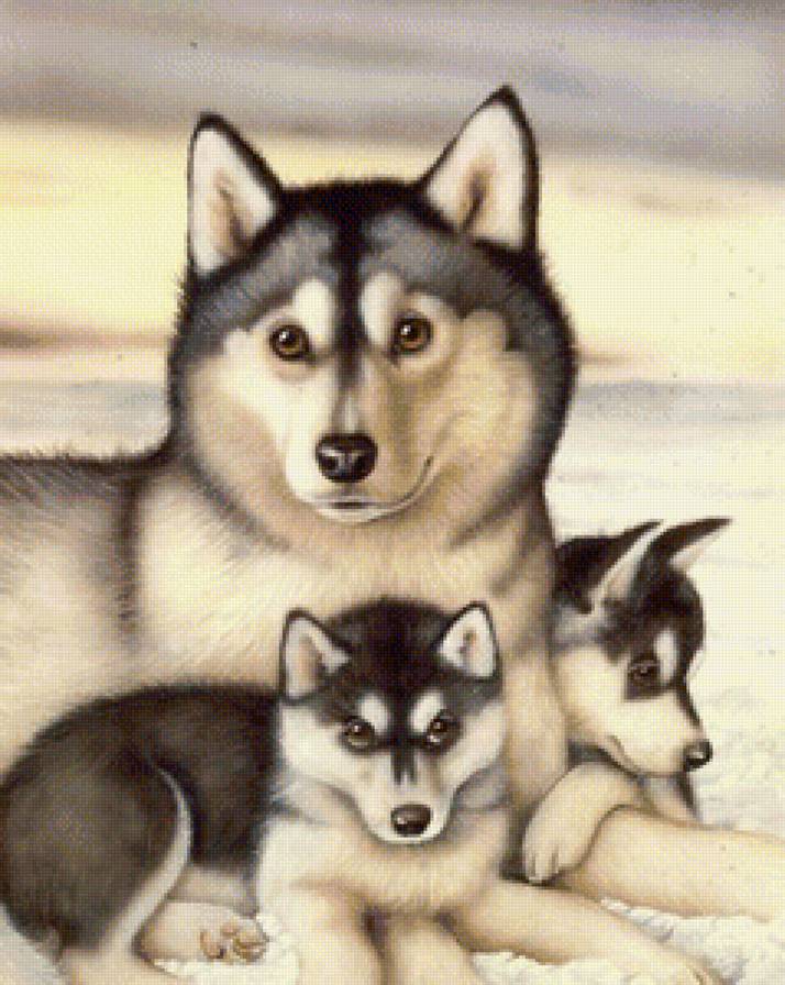 Собаки - щенки, собака - предпросмотр