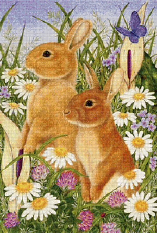 Зайки - животные, кролики - предпросмотр