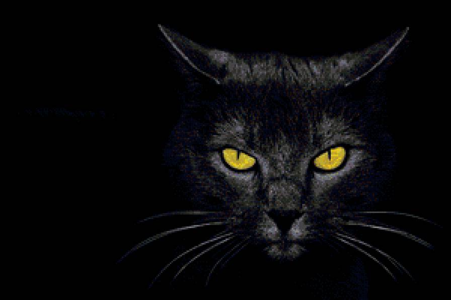Черная кошка - кошка - предпросмотр