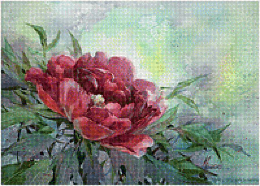 Пион - предпросмотр