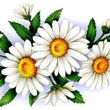 Схема вышивки «Ромашки»