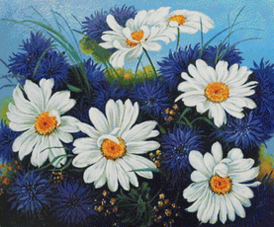 Ромашки - цветы, ромашки - предпросмотр
