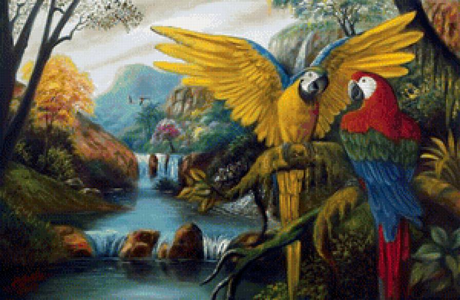 Пара - птицы, попугай - предпросмотр