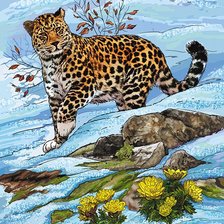 Схема вышивки «мир животных»