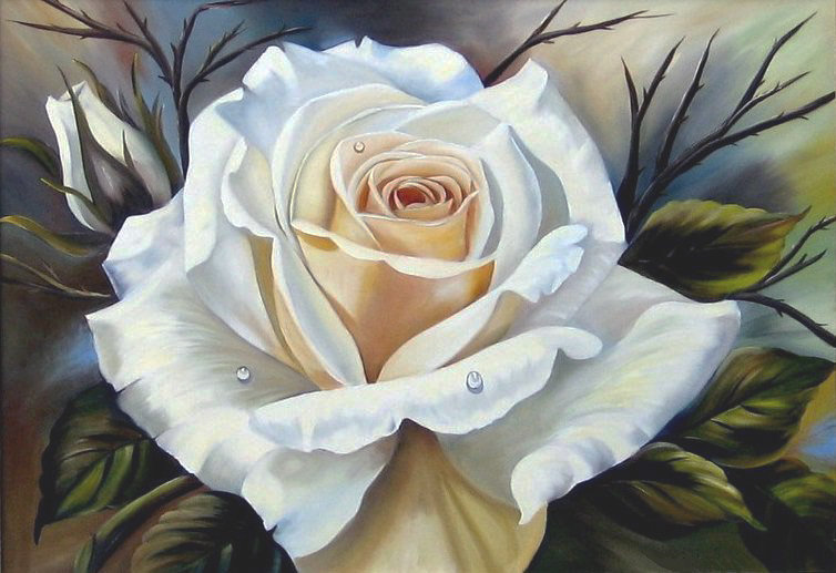 Её Величество Роза - цветы, роза - оригинал