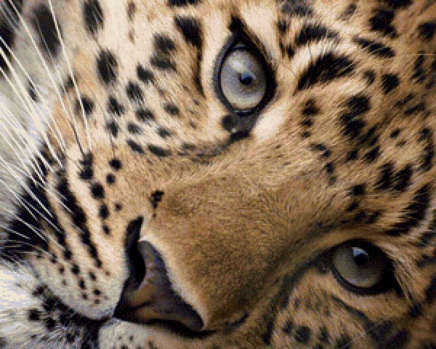 животные - животные, природа - предпросмотр