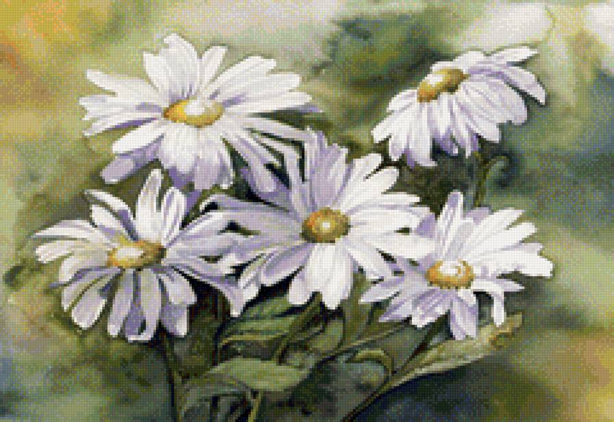 Акварельные ромашки - ромашки, цветы - предпросмотр