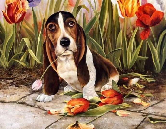 Проказник - цветы, животные. собока, тюльпаны - оригинал