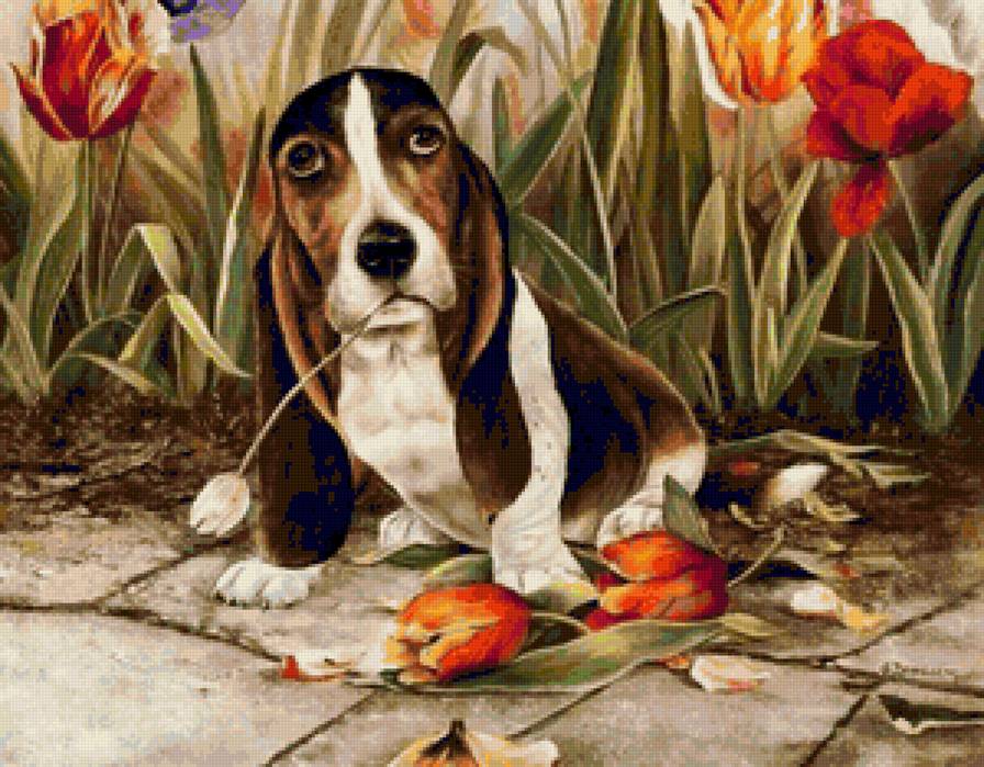 Проказник - цветы, тюльпаны, животные. собока - предпросмотр