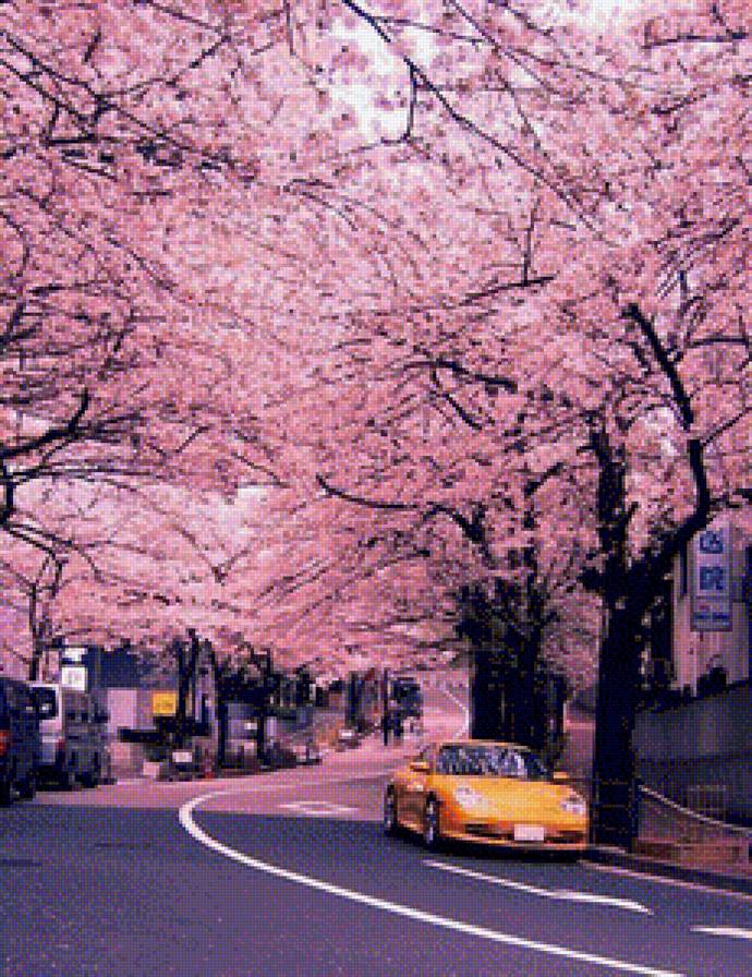 весна - улица - предпросмотр