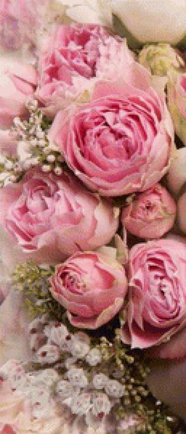 Нежный букет (Первый модуль) - нежный букет, розы, букет - предпросмотр