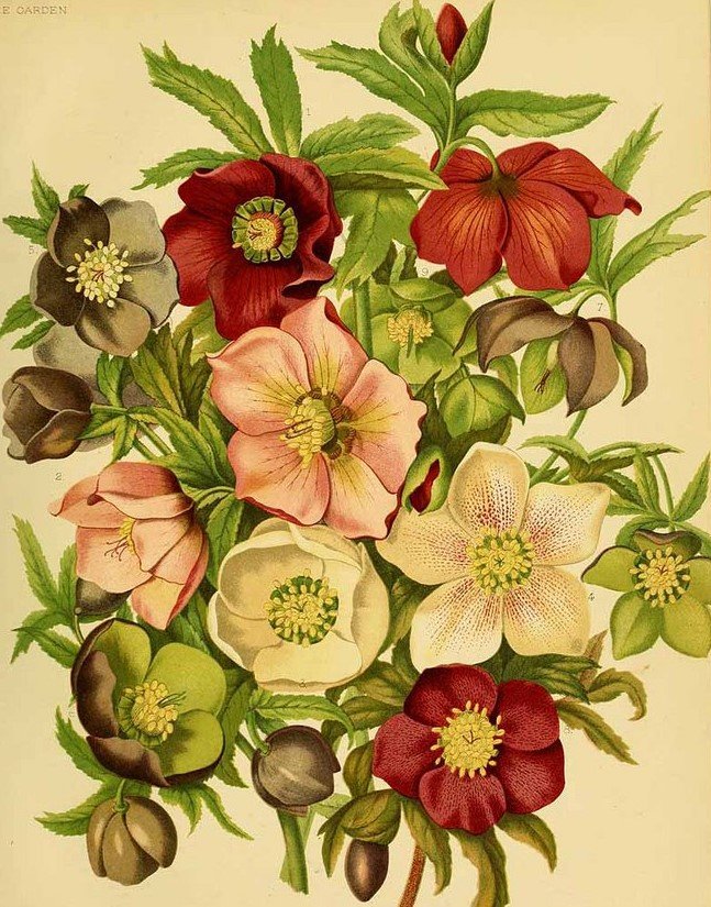 №1241299 - оригинал