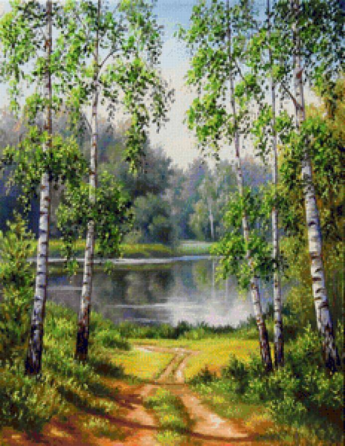 Русские берёзы - природа, пейзаж, березы - предпросмотр