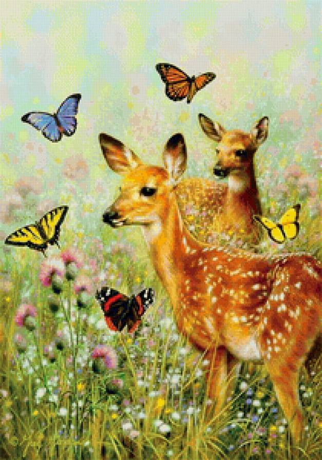 малыши - оленята, животные, детеныши - предпросмотр