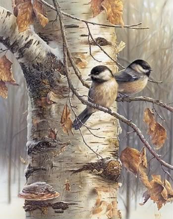 птицы - птицы - оригинал