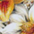Предпросмотр схемы вышивки «Рыжий букет» (№1241986)