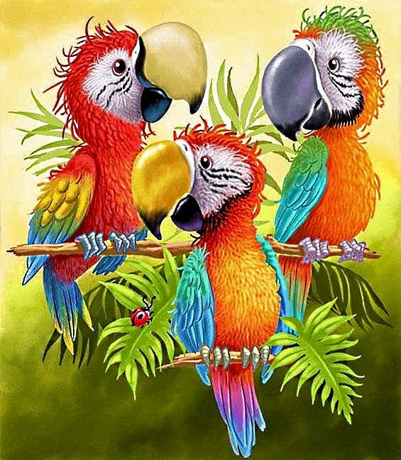дружная семейка - попугай, попугаи, ара, птицы - оригинал
