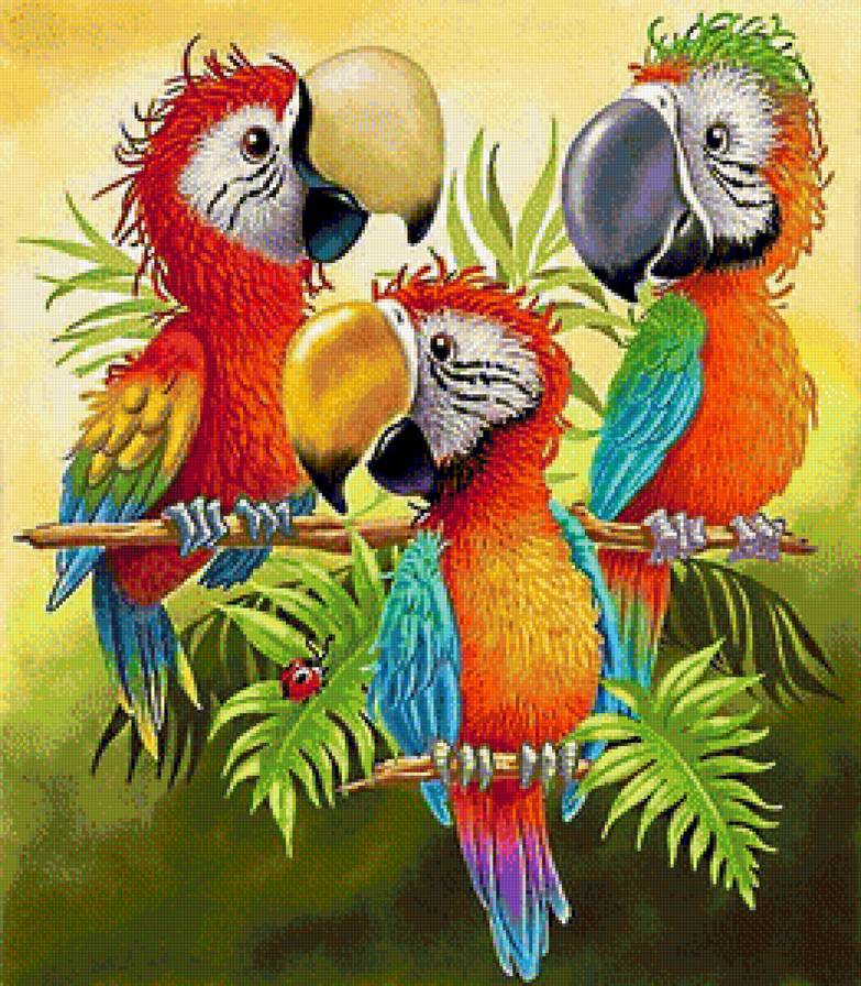 дружная семейка - птицы, попугаи, ара, попугай - предпросмотр