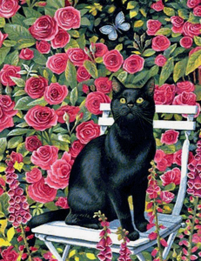 Кот в цветах - цветы, животные - предпросмотр