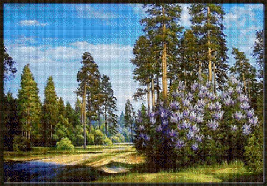 Сирень на краю леса - пейзаж, сирень, лес - предпросмотр